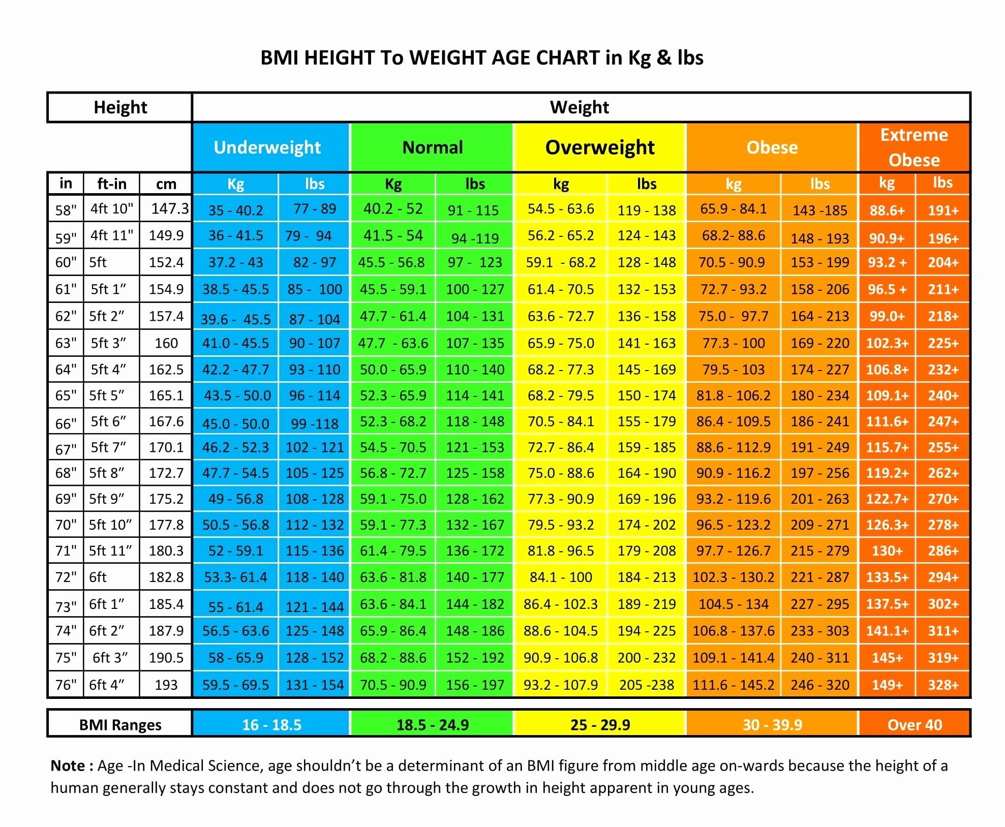 Age Weight Calculator: All You Need To Know