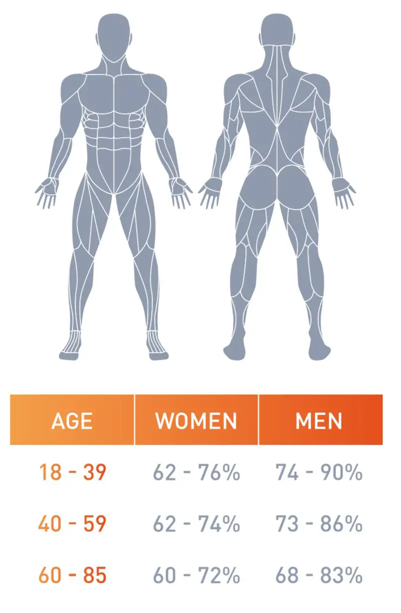 Average Body Mass