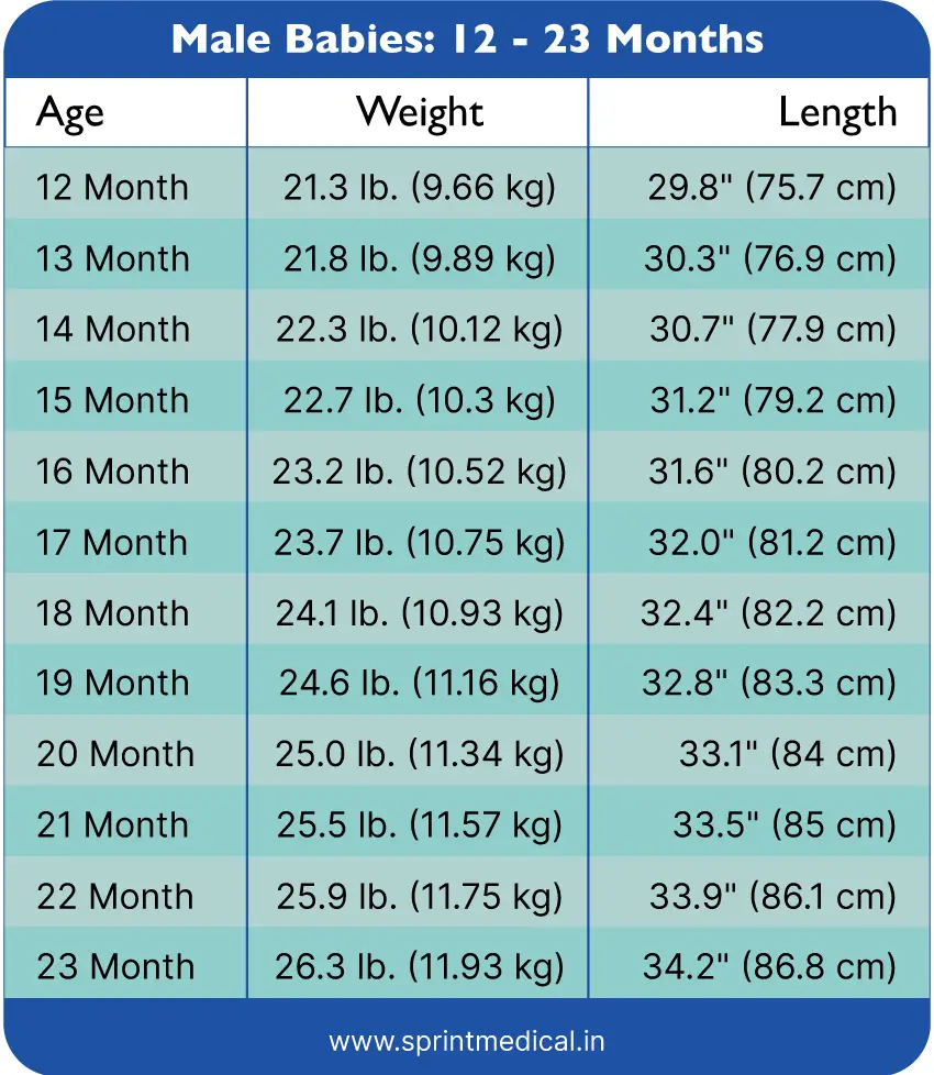 Average Weight For 22Yearold Male In Kg