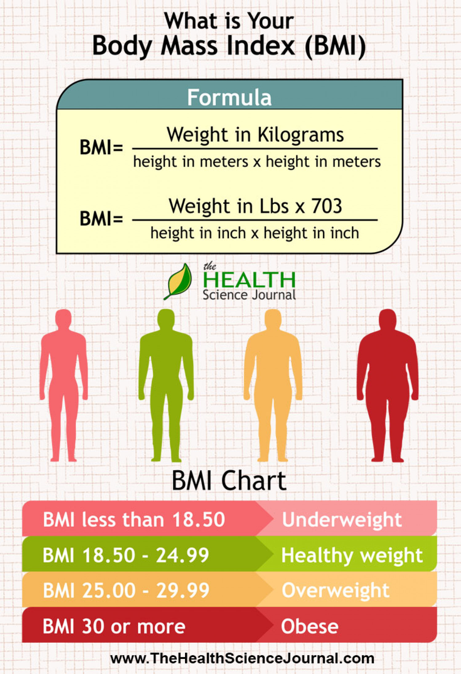 Bidy Mass Index