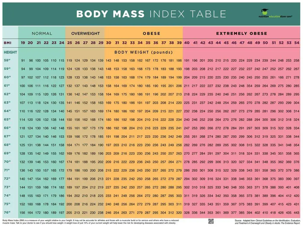 Bmi Charts For Seniors