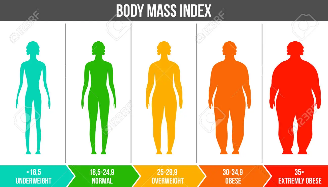 Bmi Obesity Scale