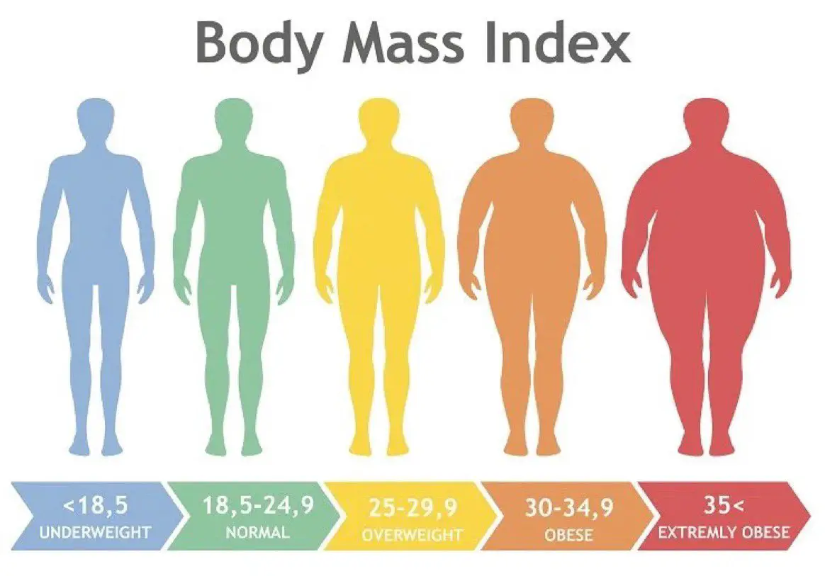 Bmi Of 23