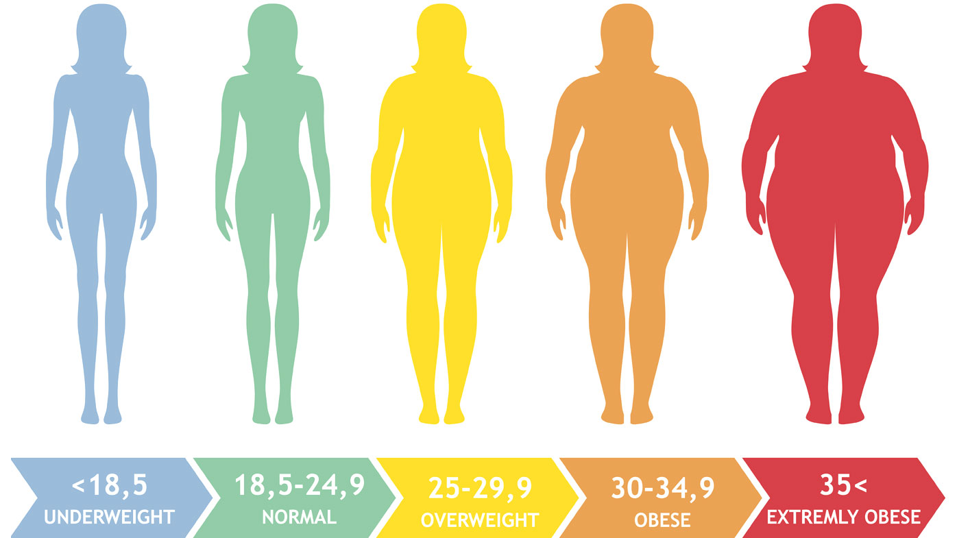 Bmi Of 24