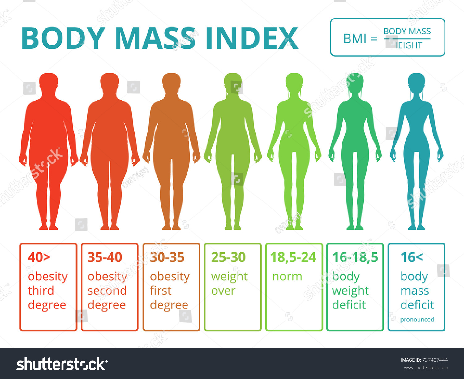 Body Mass Index Female