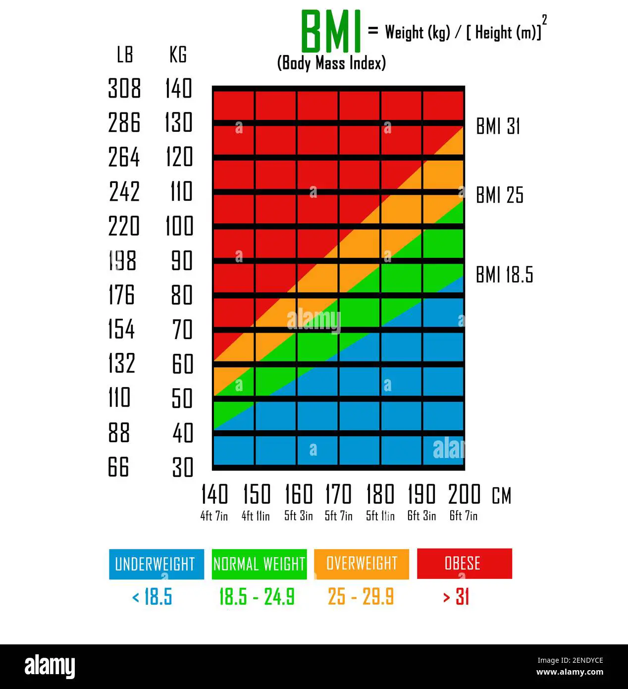 Healthy Bmi Chart
