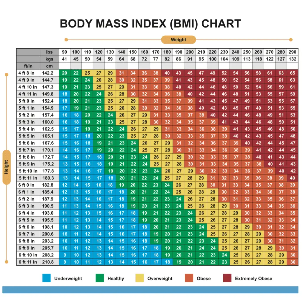 Ideal Body Mass Index For Females
