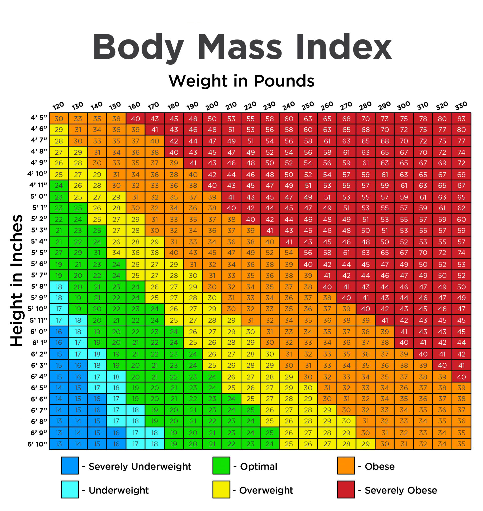 Normal Body Mass Index Range