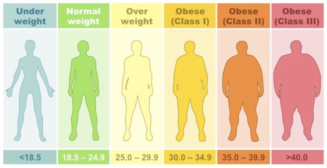 Normal Body Mass Index