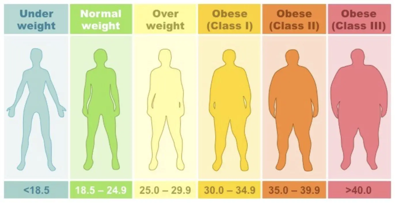 Normal Body Mass Index