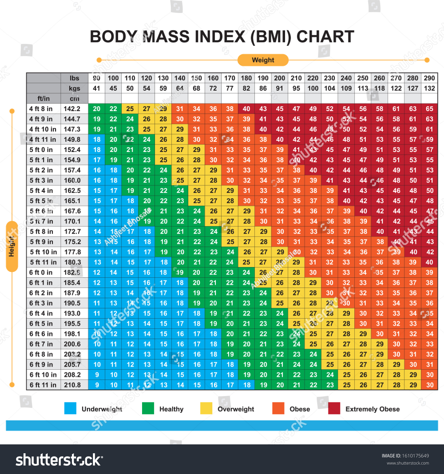 Overweight Chart Female