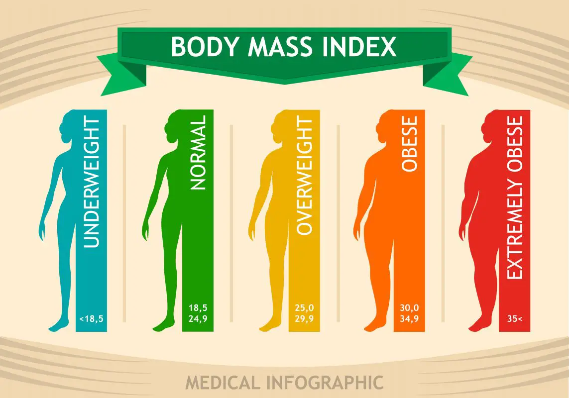 What Is An Ideal Bmi For A Woman