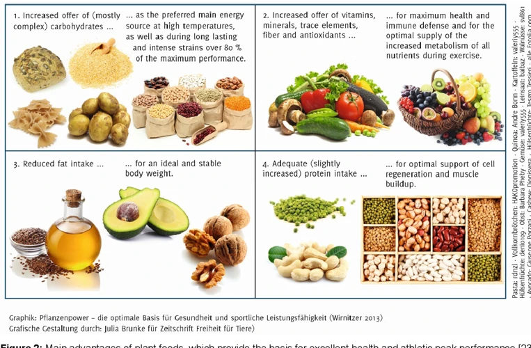 Benefits Of A Plant-Based Diet For Athletes