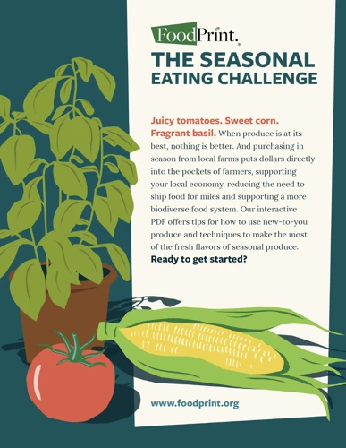 Benefits Of Eating Seasonal Produce