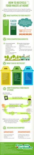 Benefits Of Reusing Food Scraps