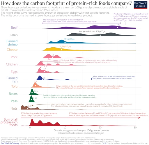 Carbon Footprint