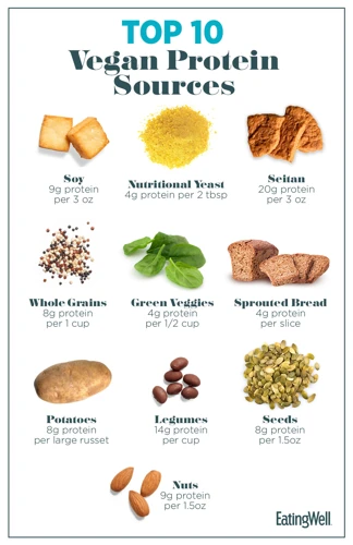 Common Plant-Based Protein Sources