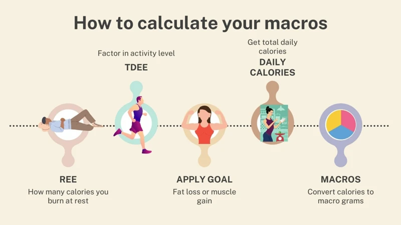 Determining Your Macronutrient Needs