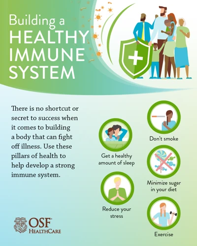 Diet Tips For A Strong Immune System