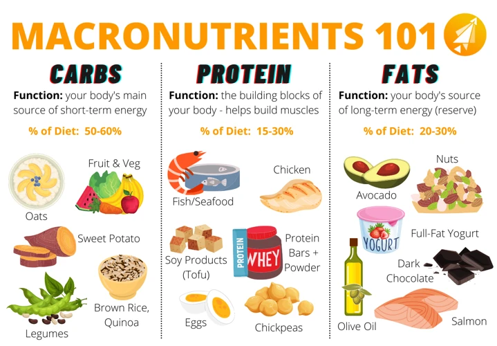 How Much Macronutrients Should You Consume?