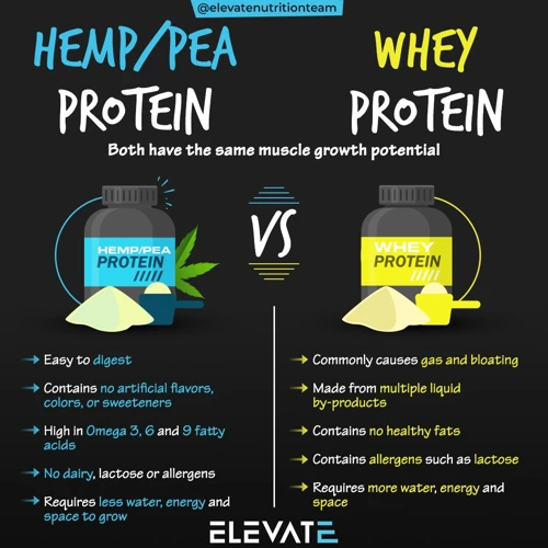 How To Choose A Good Plant-Based Protein Powder