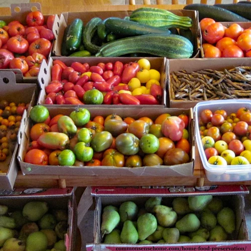 How To Choose The Right Produce For Preservation