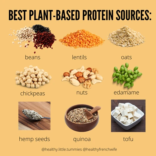 How To Incorporate Vegan Protein Sources Into Your Diet