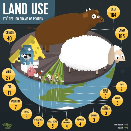 Land Usage