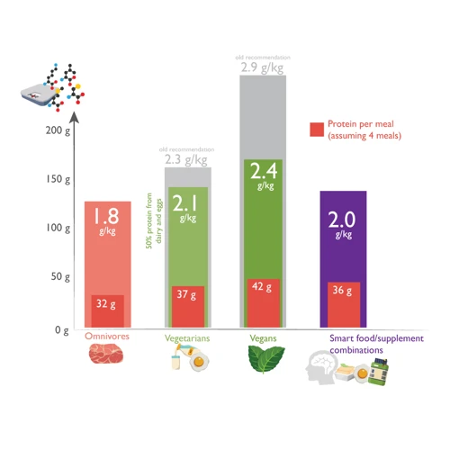 Maximizing Protein Absorption