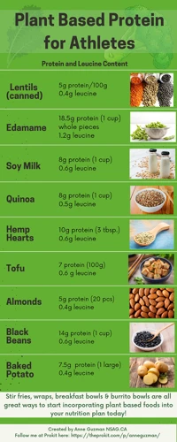 Plant-Based Protein Sources For Athletes