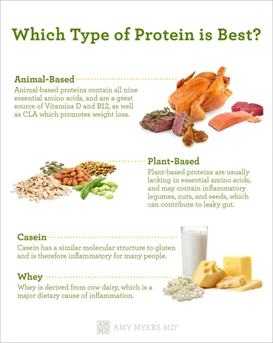 Plant-Based Vs. Animal-Based Protein