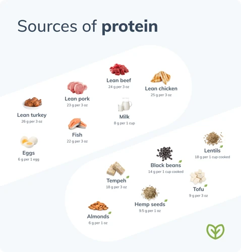 Plant Protein