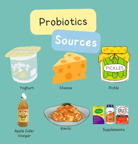 Probiotic Food Sources