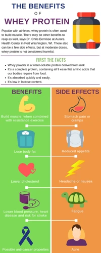 Pros And Cons Of Protein Shakes