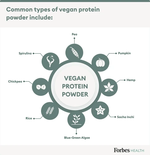 Pros Of Plant-Based Protein Powder