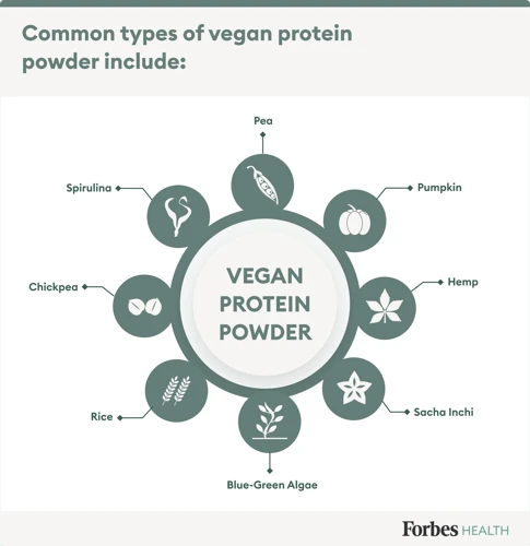 Protein Supplements For Vegans