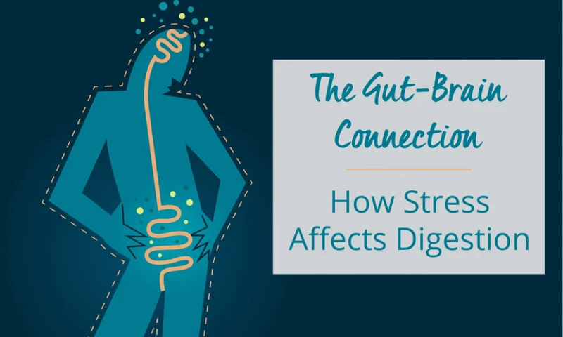 Signs That Stress Is Affecting Your Digestion