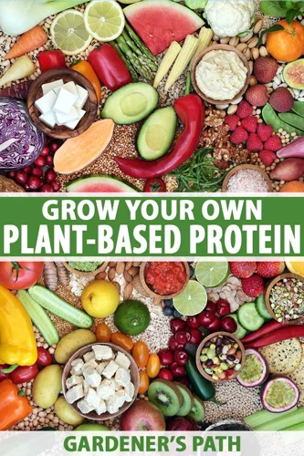 Supplementing Plant-Based Protein