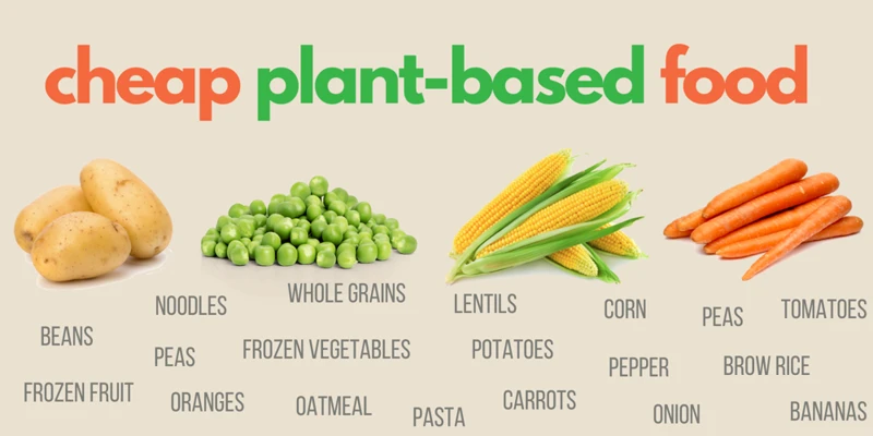 The Benefits Of A Plant-Based Diet