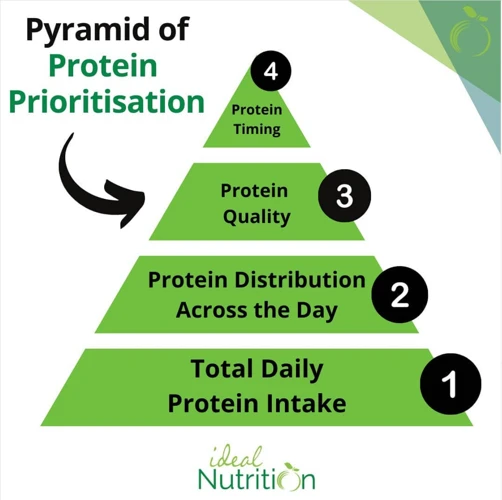 The Benefits Of Protein For Muscle Growth