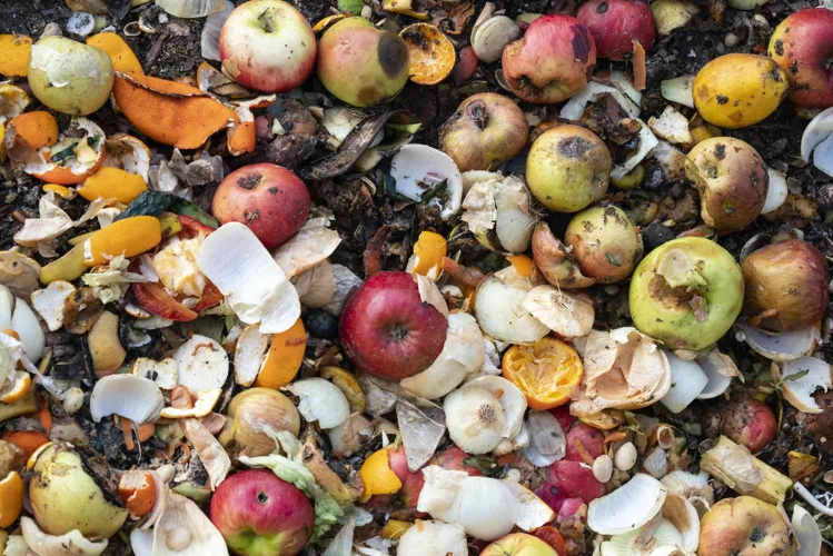 The Environmental Impact Of Food Waste
