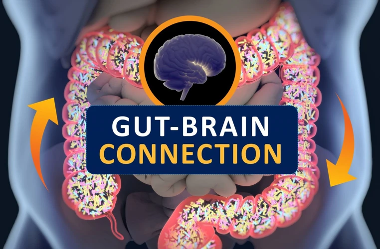 The Gut-Brain Connection