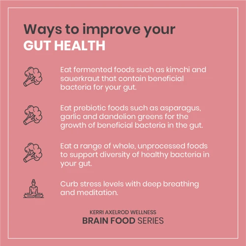 The Importance Of A Healthy Gut