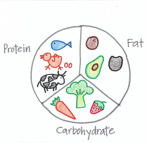 The Importance Of Balancing Macronutrients