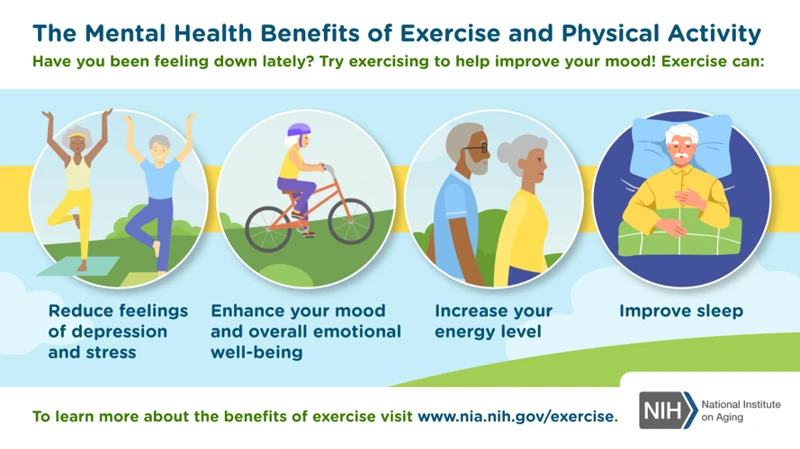 The Importance Of Physical Exercise For Mental Health