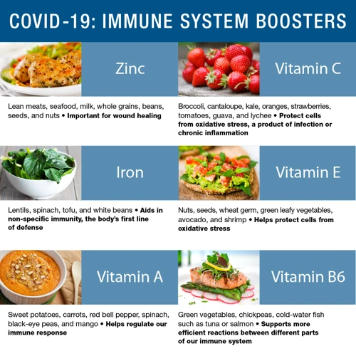 The Relationship Between Diet And Immunity