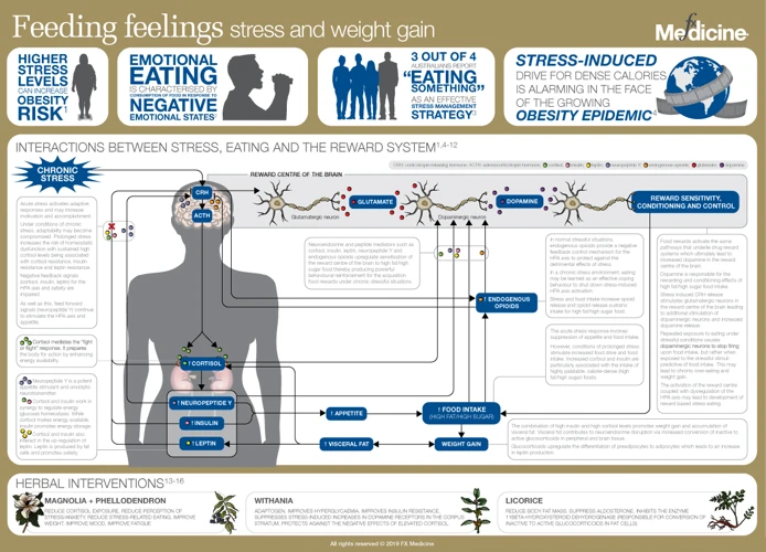 The Vicious Cycle Of Stress And Weight Gain