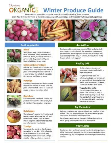 Tips For Storing Seasonal Produce