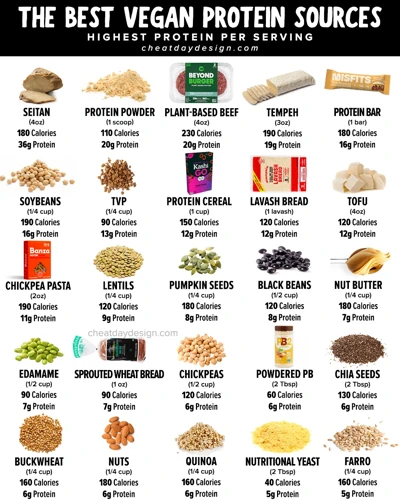 Top 10 Plant-Based Protein Sources