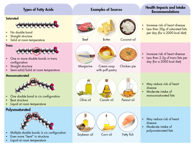 Top 10 Sources Of Monounsaturated Fats